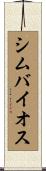 シムバイオス Scroll