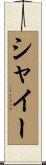 シャイー Scroll