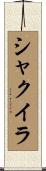 Shaquira Scroll