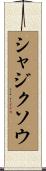 シャジクソウ Scroll