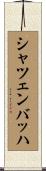 シャツェンバッハ Scroll