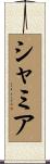 シャミア Scroll
