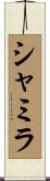 Shamila Scroll