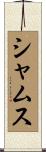 Shamus Scroll