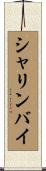 シャリンバイ Scroll