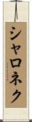 シャロネク Scroll