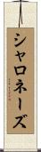 シャロネーズ Scroll