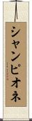 シャンピオネ Scroll