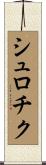 シュロチク Scroll