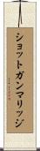 ショットガン・マリッジ Scroll