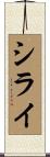 シライ Scroll