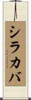 シラカバ Scroll