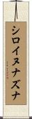 シロイヌナズナ Scroll
