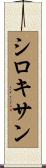 シロキサン Scroll