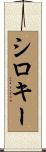 シロキー Scroll