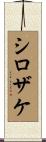 シロザケ Scroll