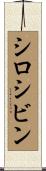 シロシビン Scroll