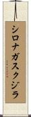 シロナガスクジラ Scroll