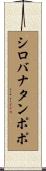 シロバナタンポポ Scroll
