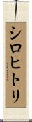 シロヒトリ Scroll