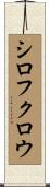シロフクロウ Scroll