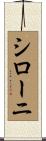 シローニ Scroll