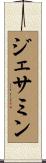 ジェサミン Scroll