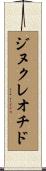 ジヌクレオチド Scroll