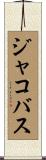 ジャコバス Scroll