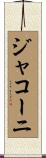 ジャコーニ Scroll