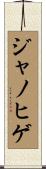 ジャノヒゲ Scroll