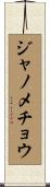 ジャノメチョウ Scroll