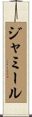 Jameel Scroll