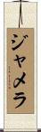 Jamela Scroll