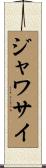 ジャワサイ Scroll