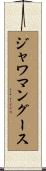 ジャワ・マングース Scroll