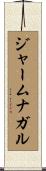 ジャームナガル Scroll