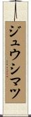 ジュウシマツ Scroll