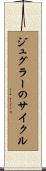 ジュグラーのサイクル Scroll