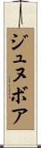 ジュヌボア Scroll