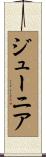 Junior Scroll