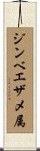 ジンベエザメ属 Scroll
