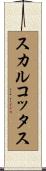 スカルコッタス Scroll