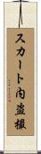スカート内盗撮 Scroll