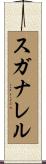 スガナレル Scroll