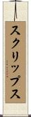 スクリップス Scroll