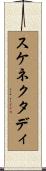 スケネクタディ Scroll