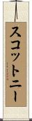 スコットニー Scroll