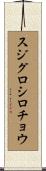 スジグロシロチョウ Scroll