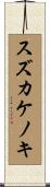 スズカケノキ Scroll